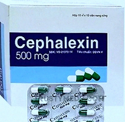 Cephalexin