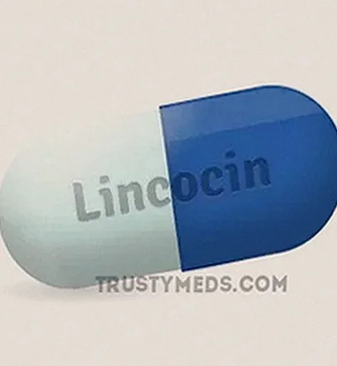 Lincocin