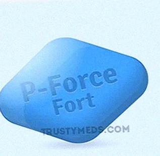 P-Force Fort